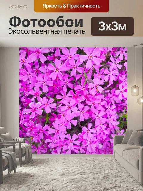 Фотообои ползучий флокс