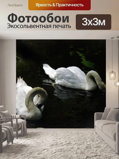 Фотообои два белых лебедя на пруду