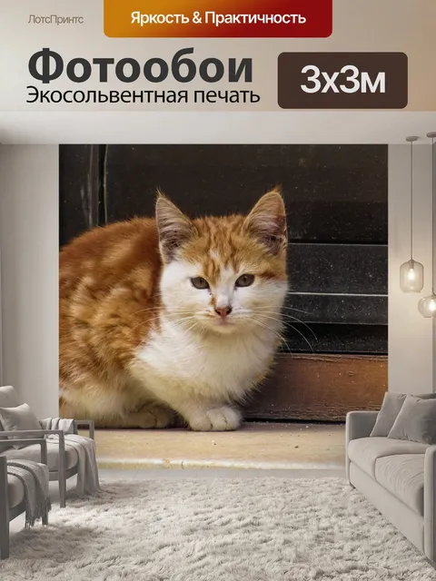 Фотообои Кошка