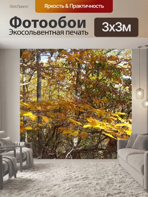 Фотообои Желтые листья