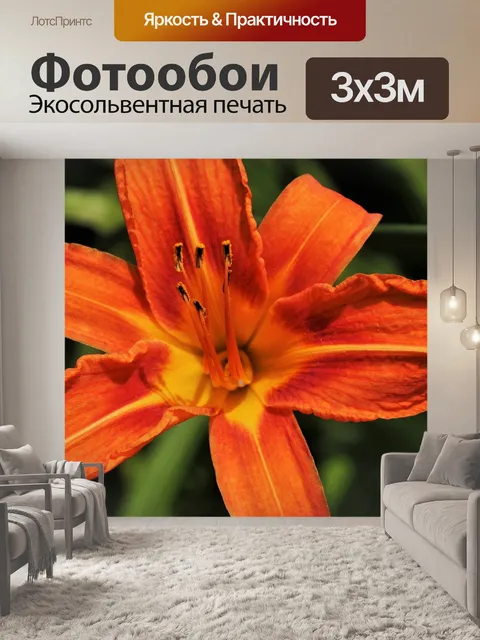 Фотообои Лили