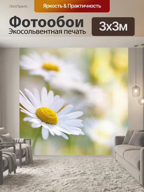 Фотообои Цветок ромашка цветок боке