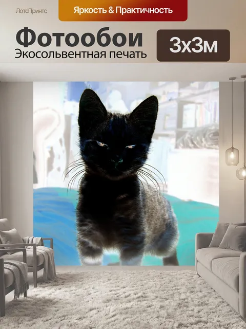 Фотообои Котенок