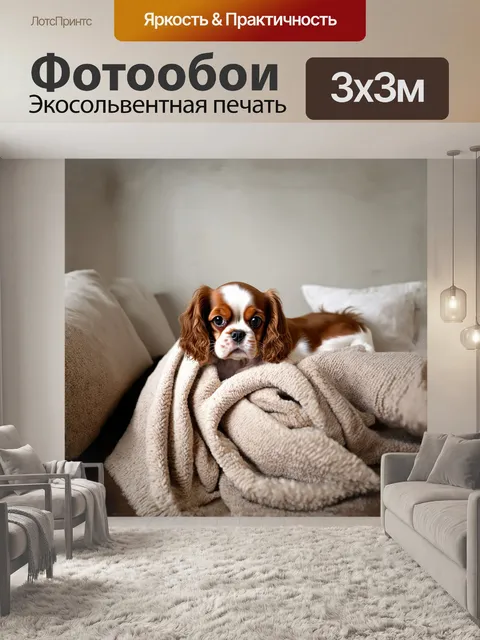 Фотообои кавалер кинг чарльз спаниель, закутанный в мягкий плед в тихой комнате, уютно устроился среди подушек