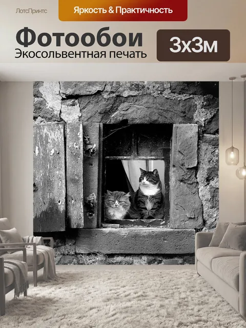 Фотообои Стена