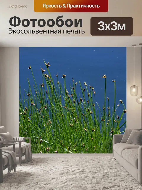 Фотообои трава и озеро