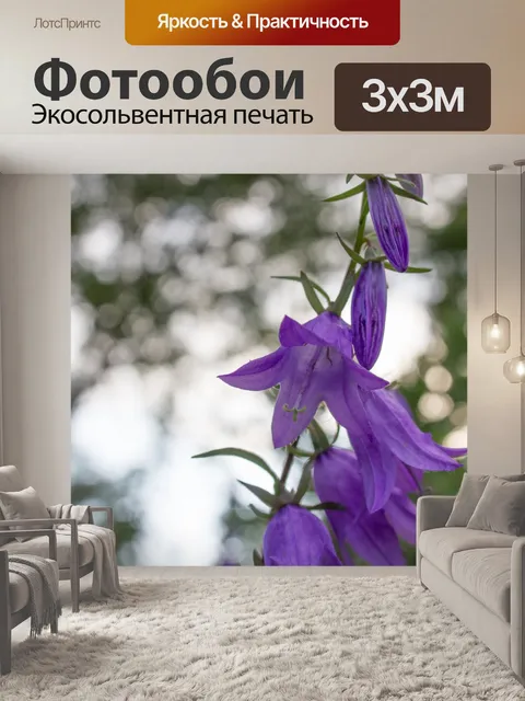 Фотообои Колокольчик