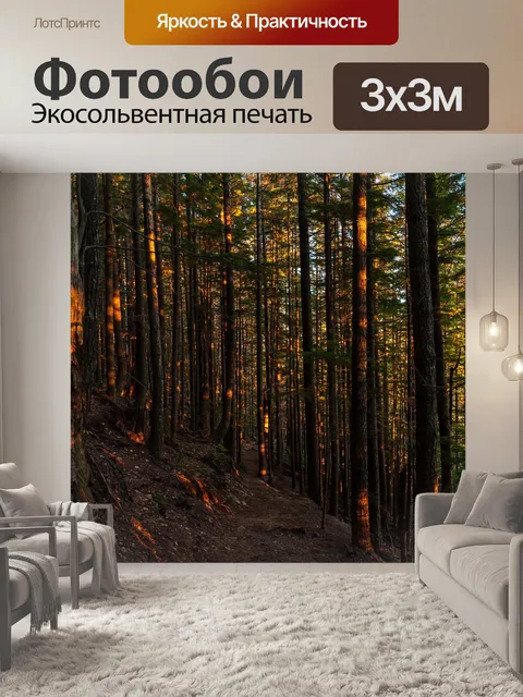 Фотообои Лесная тропа
