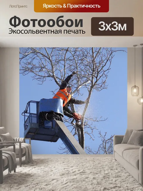 Фотообои Спил