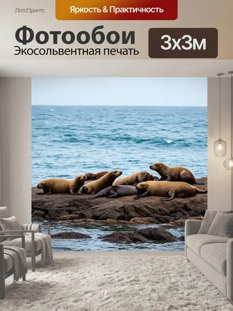 Фотообои охота на побережье, где группа морских львов отдыхает на скалах, а вода мягко колеблется вокруг них