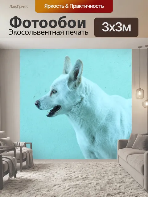 Фотообои Собака