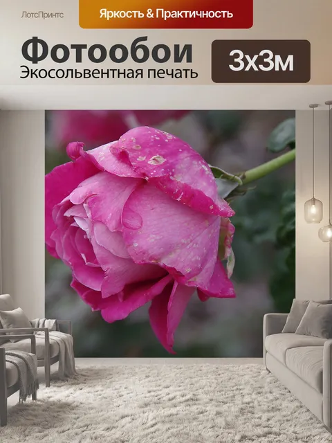 Фотообои Деталь усталой розы