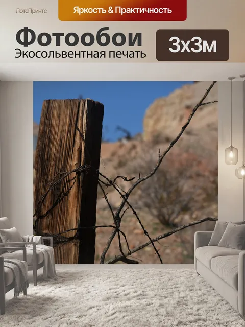 Фотообои Колючая забор пост