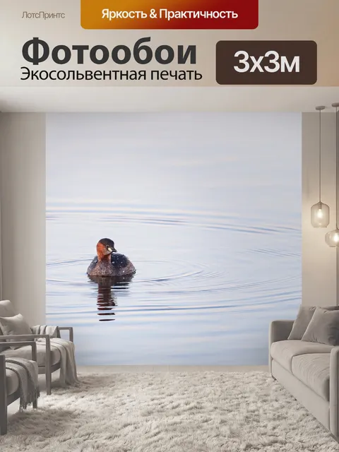 Фотообои Малая поганка