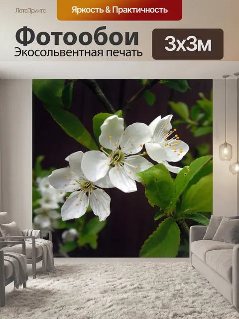 Фотообои Вишня