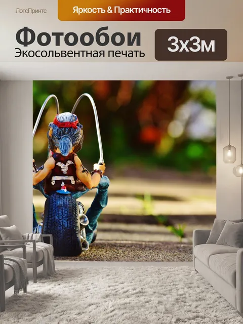 Фотообои Байкер