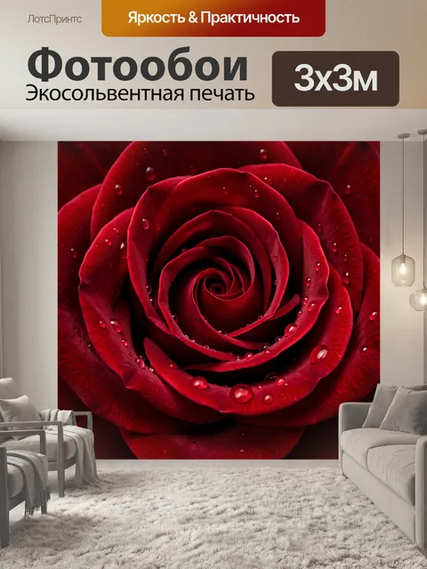 Фотообои Бордовая роза с каплями росы