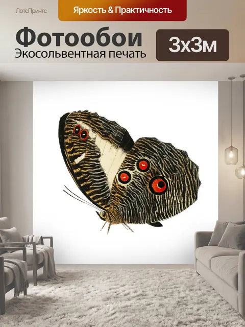 Фотообои Бабочка старое винтажное искусство
