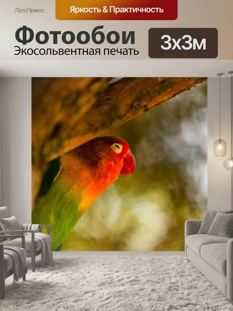 Фотообои Птица