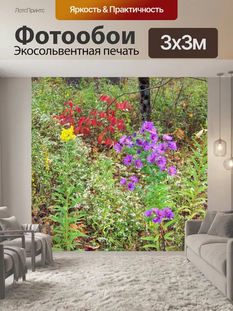 Фотообои Полевые цветы
