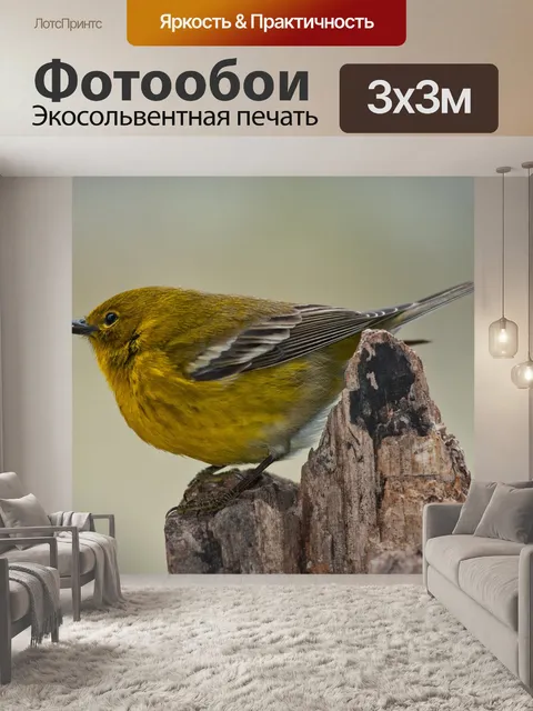 Фотообои Камышевка