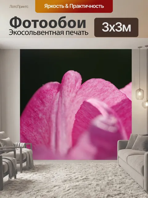 Фотообои Розовый