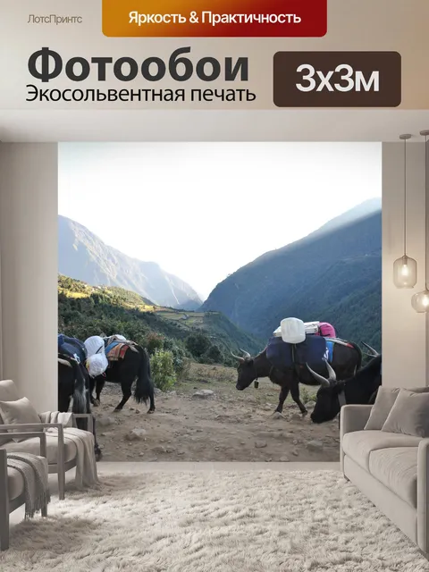 Фотообои Яки в Гималаях.