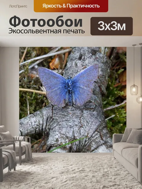 Фотообои Синяя птица счастья