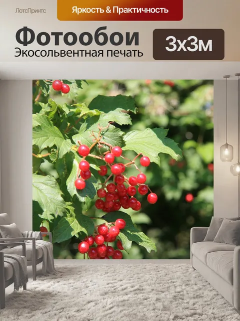 Фотообои Ягода