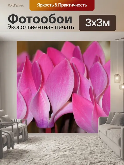 Фотообои Цикламен
