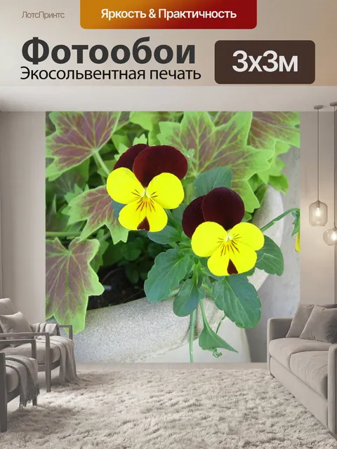 Фотообои Желтые и черные анютины глазки