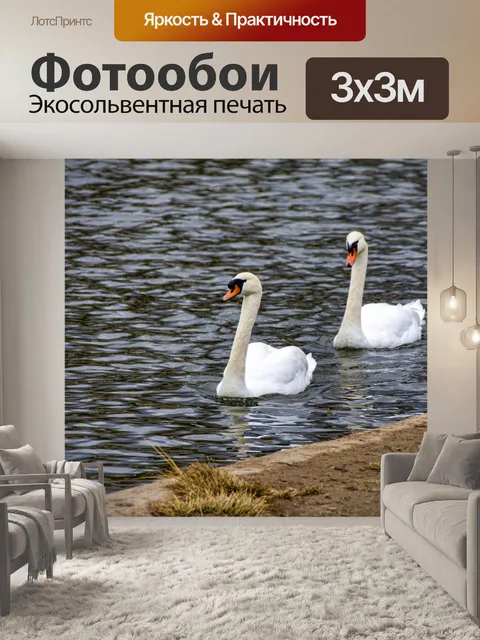 Фотообои лебеди