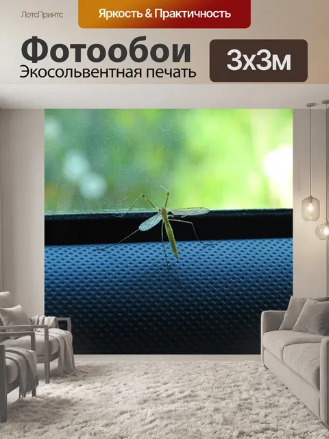 Фотообои Комар