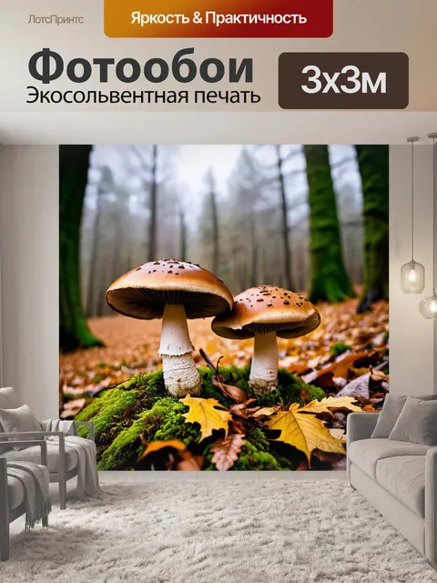 Фотообои два крупных гриба с коричневыми шляпками и белыми ножками