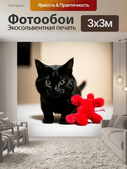 Фотообои съемка черной кошки с красной игрушкой