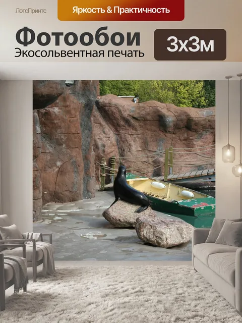 Фотообои Тюлень