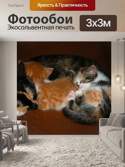 Фотообои Животные