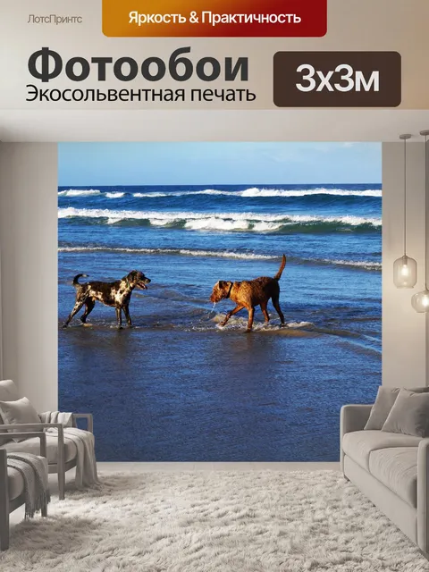 Фотообои Собаки на пляже