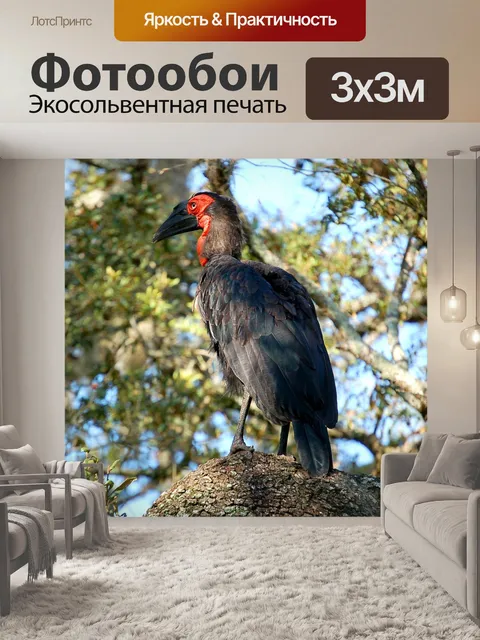 Фотообои Южный
