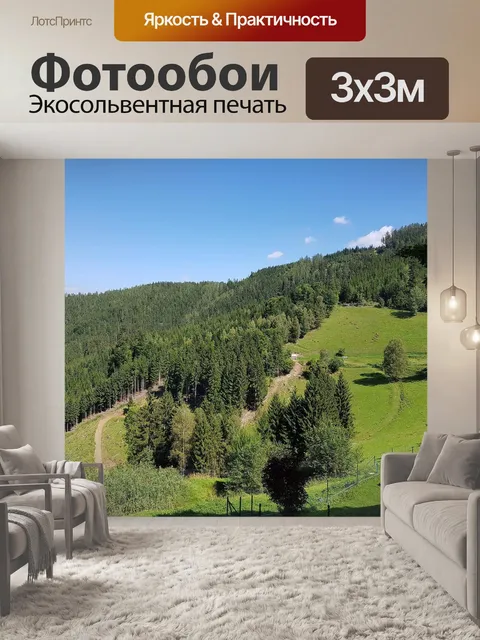 Фотообои Лес