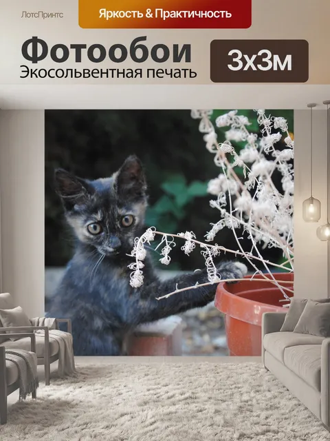 Фотообои Кошка занимается садоводством