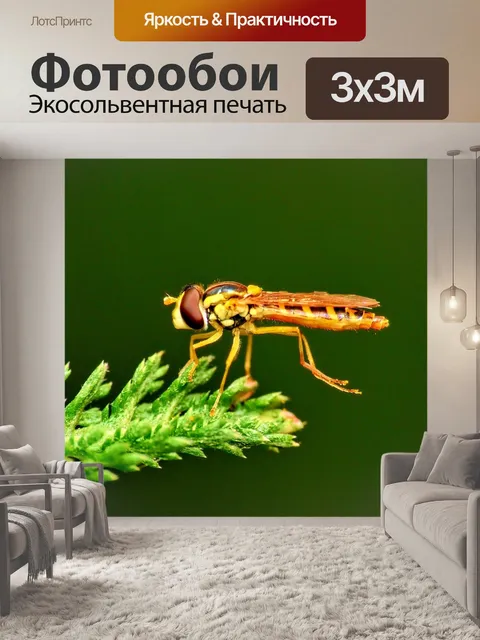 Фотообои Макрос
