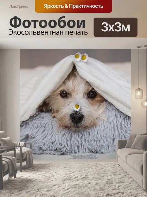 Фотообои Собака