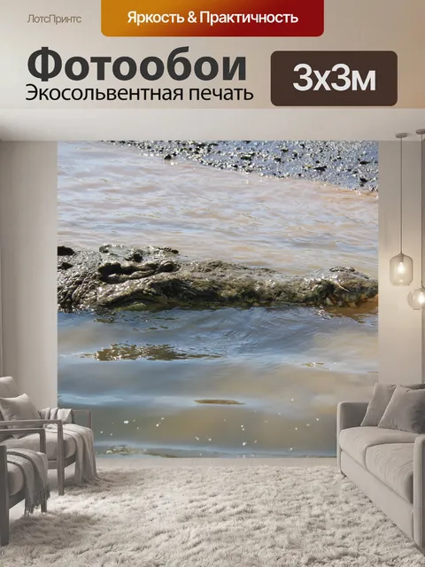 Фотообои Коста-Рика Крокодил
