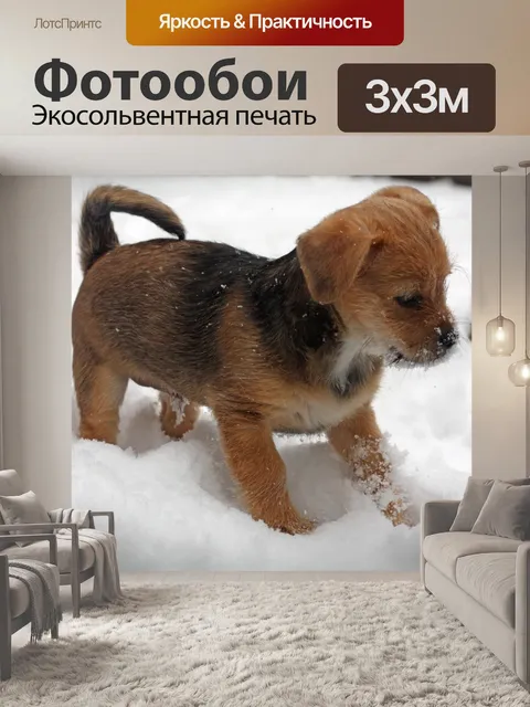 Фотообои Терьер щенок в снегу