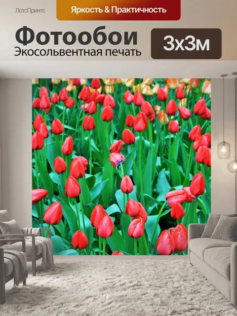 Фотообои тюльпаны, ботанические сады, москва