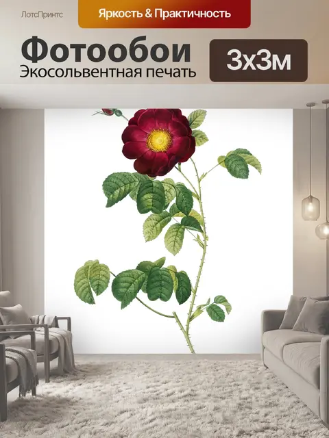 Фотообои Роза винтажное искусство старое