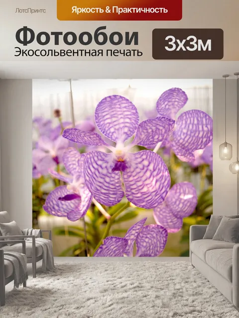 Фотообои Фото цветка орхидеи