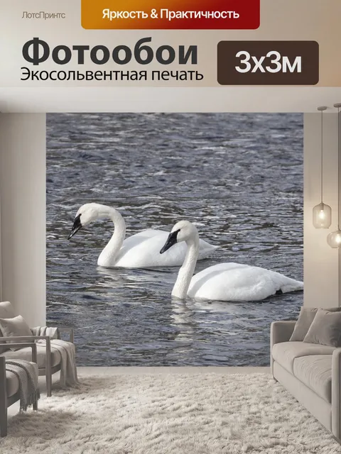 Фотообои Большая белая птица