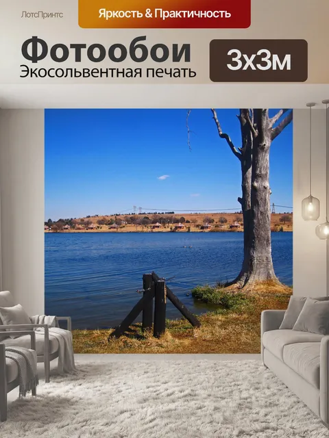Фотообои вид на плотину и мертвое дерево
